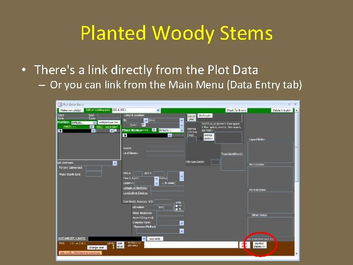Planted Woody Stems • There's a link directly from the Plot Data – Or