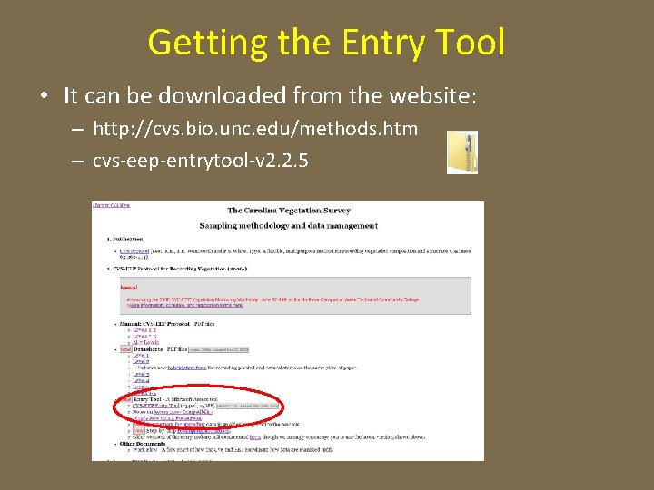 Getting the Entry Tool • It can be downloaded from the website: – http: