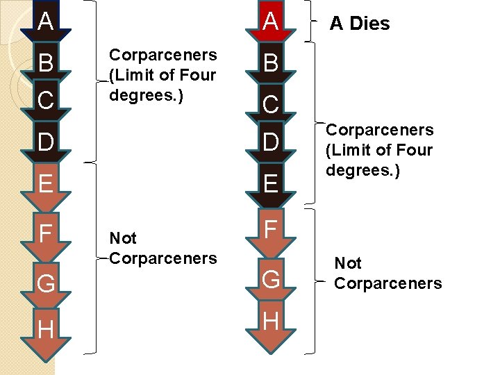 A B C A Corparceners (Limit of Four degrees. ) B C D D