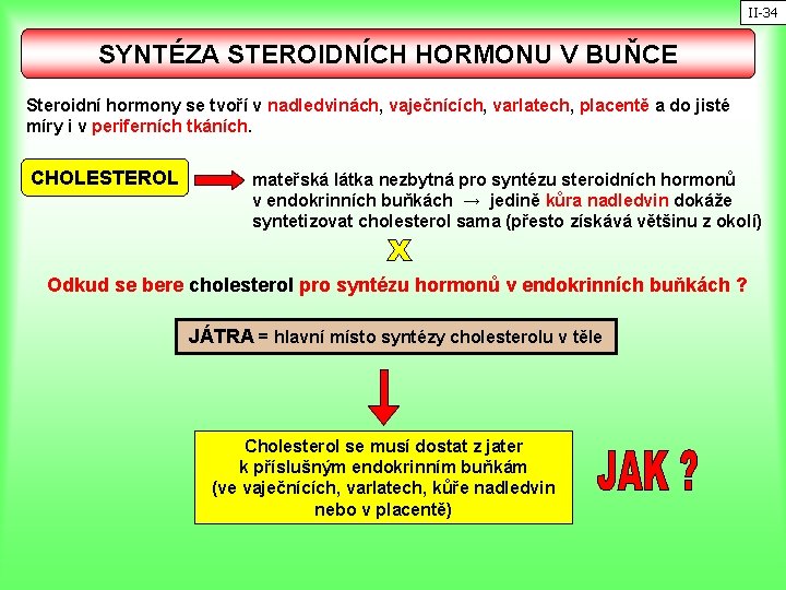 II-34 SYNTÉZA STEROIDNÍCH HORMONU V BUŇCE Steroidní hormony se tvoří v nadledvinách, vaječnících, varlatech,