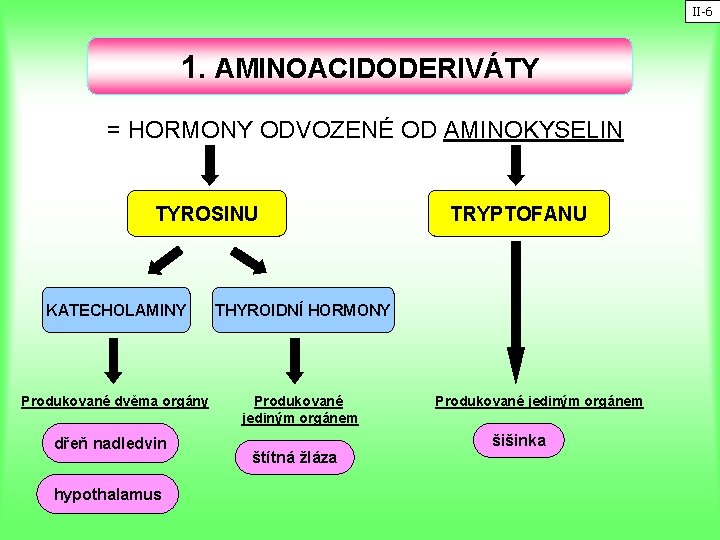 II-6 1. AMINOACIDODERIVÁTY = HORMONY ODVOZENÉ OD AMINOKYSELIN TYROSINU KATECHOLAMINY THYROIDNÍ HORMONY Produkované dvěma