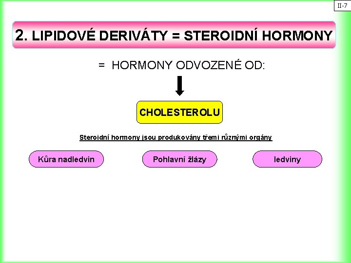 II-7 2. LIPIDOVÉ DERIVÁTY = STEROIDNÍ HORMONY = HORMONY ODVOZENÉ OD: CHOLESTEROLU Steroidní hormony