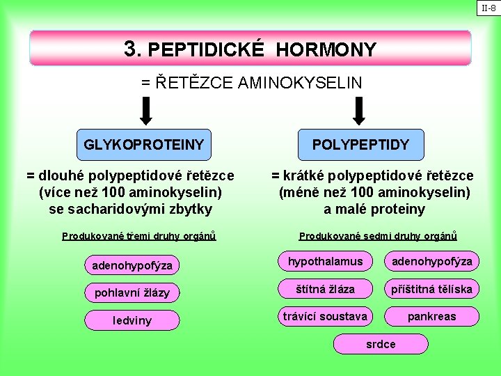 II-8 3. PEPTIDICKÉ HORMONY = ŘETĚZCE AMINOKYSELIN GLYKOPROTEINY = dlouhé polypeptidové řetězce (více než