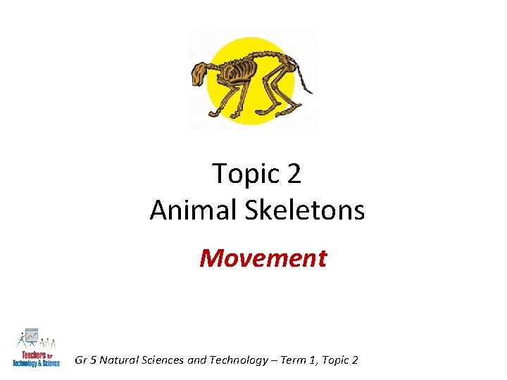 Topic 2 Animal Skeletons Movement Gr 5 Natural Sciences and Technology – Term 1,