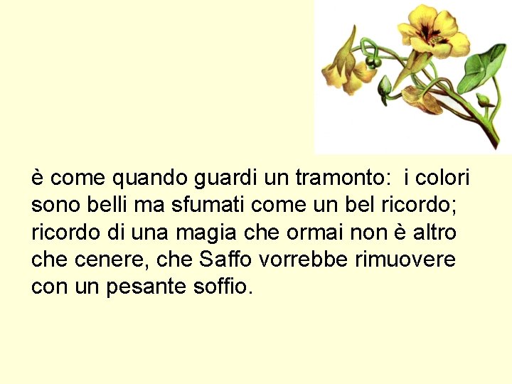 è come quando guardi un tramonto: i colori sono belli ma sfumati come un è come quando guardi un tramonto: i colori sono belli ma sfumati come un