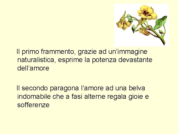 Il primo frammento, grazie ad un’immagine naturalistica, esprime la potenza devastante dell’amore Il secondo Il primo frammento, grazie ad un’immagine naturalistica, esprime la potenza devastante dell’amore Il secondo