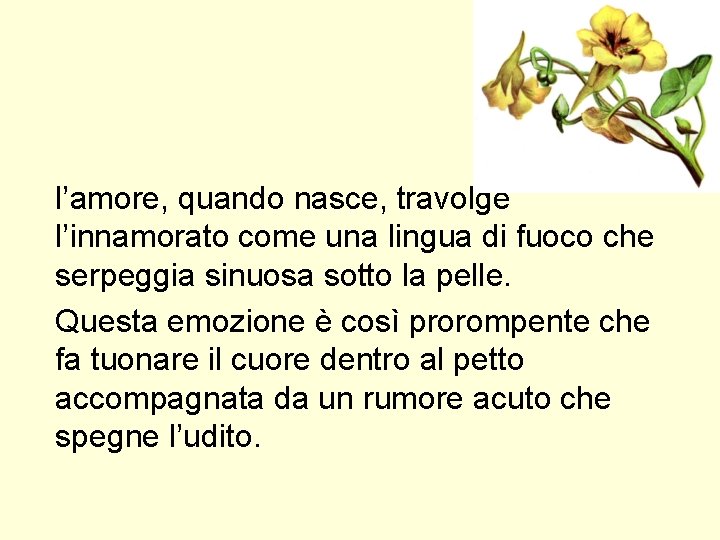 l’amore, quando nasce, travolge l’innamorato come una lingua di fuoco che serpeggia sinuosa sotto l’amore, quando nasce, travolge l’innamorato come una lingua di fuoco che serpeggia sinuosa sotto
