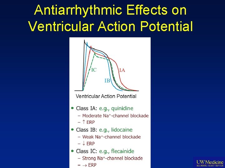 Antiarrhythmic Effects on Ventricular Action Potential 