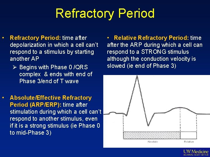 Refractory Period • Refractory Period: time after depolarization in which a cell can’t respond