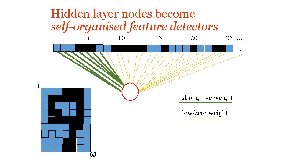 Hidden layer nodes become self-organised feature detectors 1 5 10 15 20 25 …