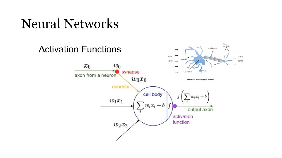 Neural Networks 