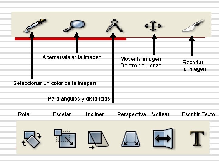 Acercar/alejar la imagen Mover la imagen Dentro del lienzo Recortar la imagen Seleccionar un