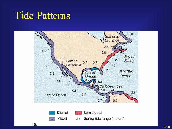 Tide Patterns 10 / 31 