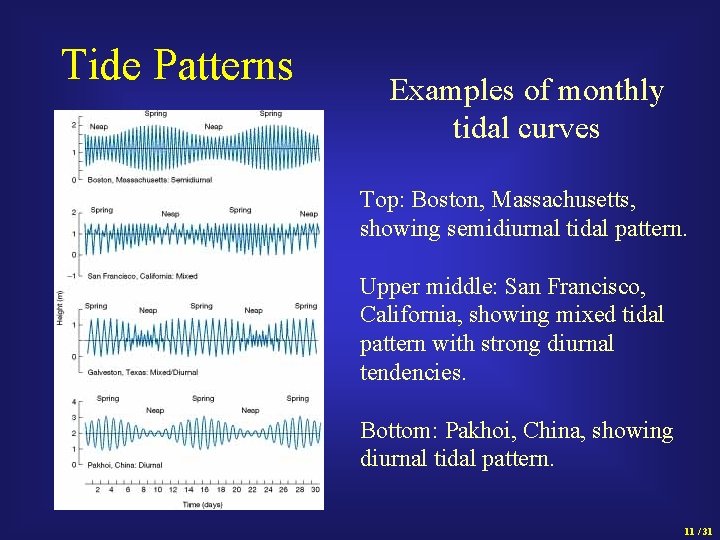 Tide Patterns Examples of monthly tidal curves Top: Boston, Massachusetts, showing semidiurnal tidal pattern.