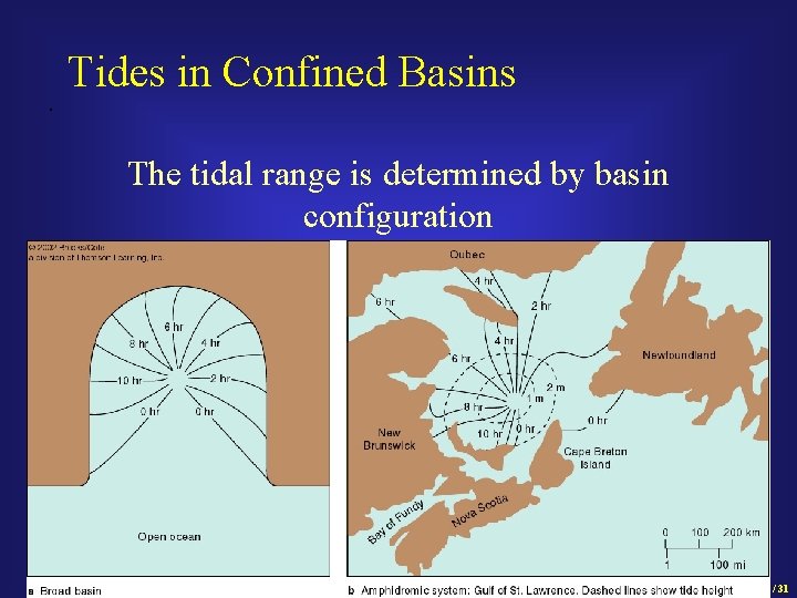 . Tides in Confined Basins The tidal range is determined by basin configuration 16