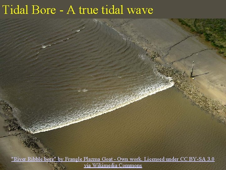 Tidal Bore - A true tidal wave "River Ribble bore" by Frangle Plazma Goat