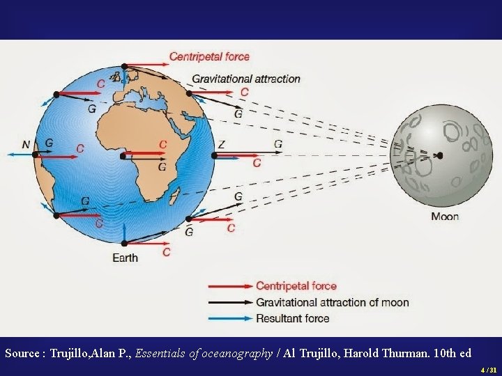 Source : Trujillo, Alan P. , Essentials of oceanography / Al Trujillo, Harold Thurman.