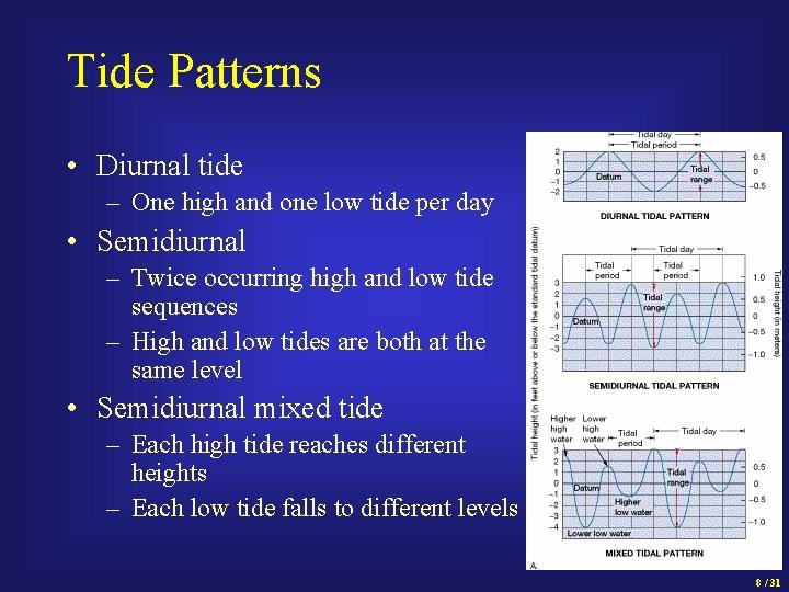 Tide Patterns • Diurnal tide – One high and one low tide per day