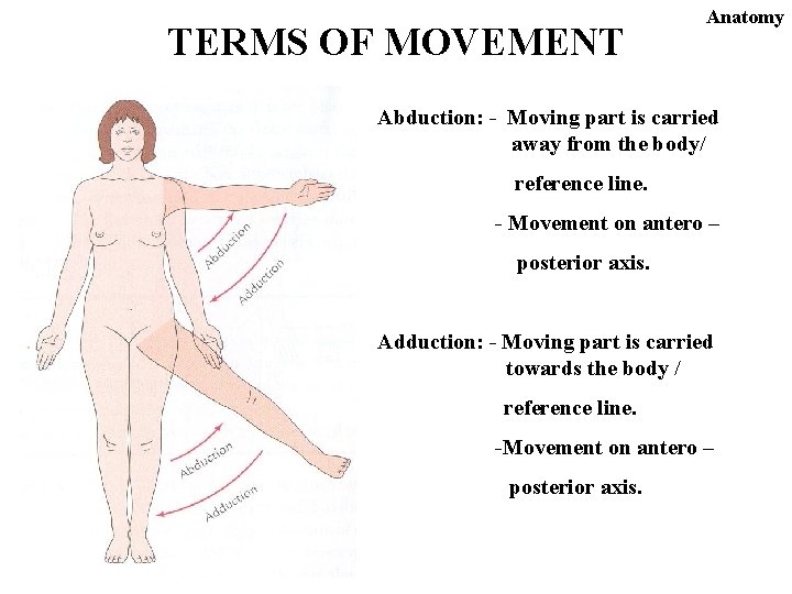 TERMS OF MOVEMENT Anatomy Abduction: - Moving part is carried away from the body/