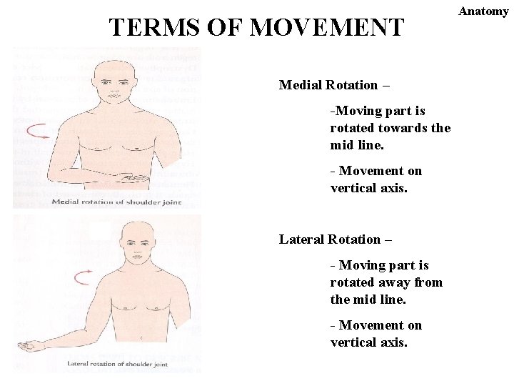 TERMS OF MOVEMENT Medial Rotation – -Moving part is rotated towards the mid line.