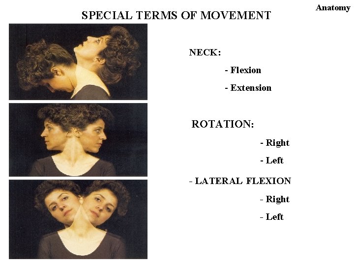 SPECIAL TERMS OF MOVEMENT NECK: - Flexion - Extension ROTATION: - Right - Left