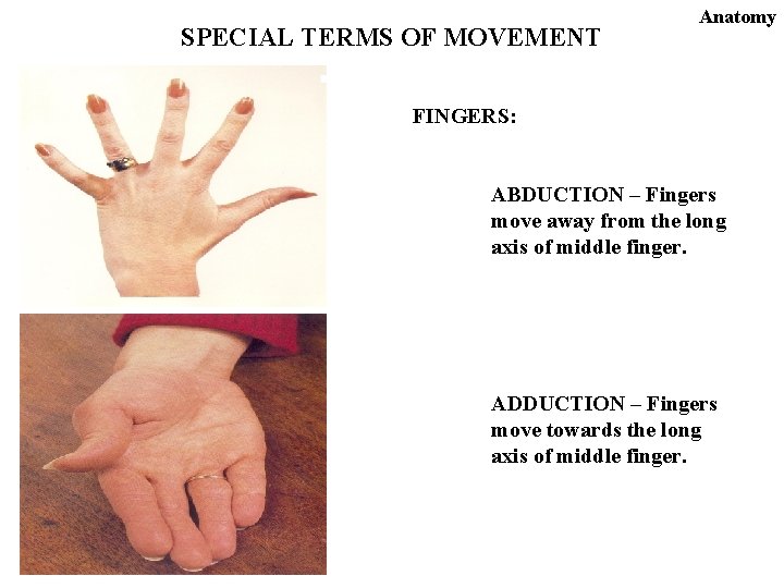 SPECIAL TERMS OF MOVEMENT Anatomy FINGERS: ABDUCTION – Fingers move away from the long