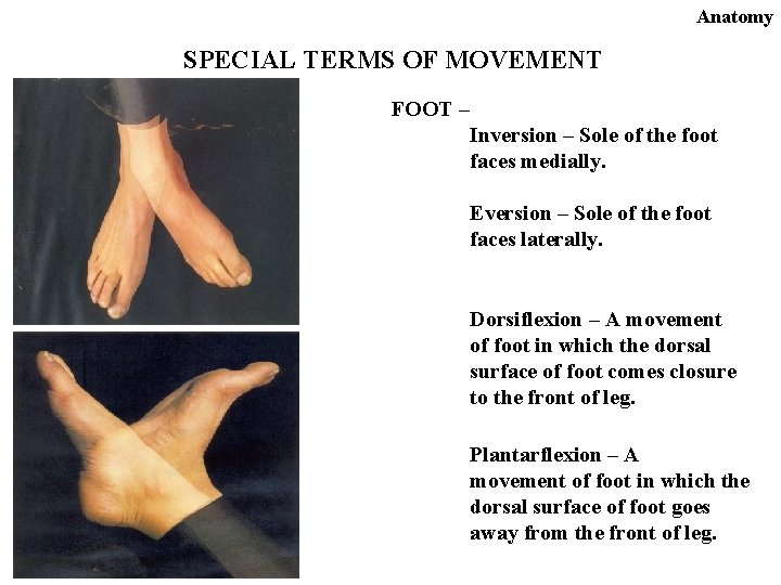 Anatomy SPECIAL TERMS OF MOVEMENT FOOT – Inversion – Sole of the foot faces