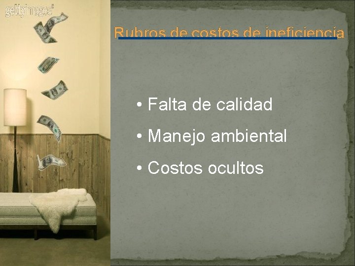 Rubros de costos de ineficiencia • Falta de calidad • Manejo ambiental • Costos