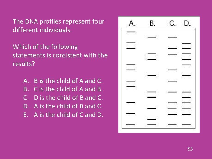 The DNA profiles represent four different individuals. Which of the following statements is consistent
