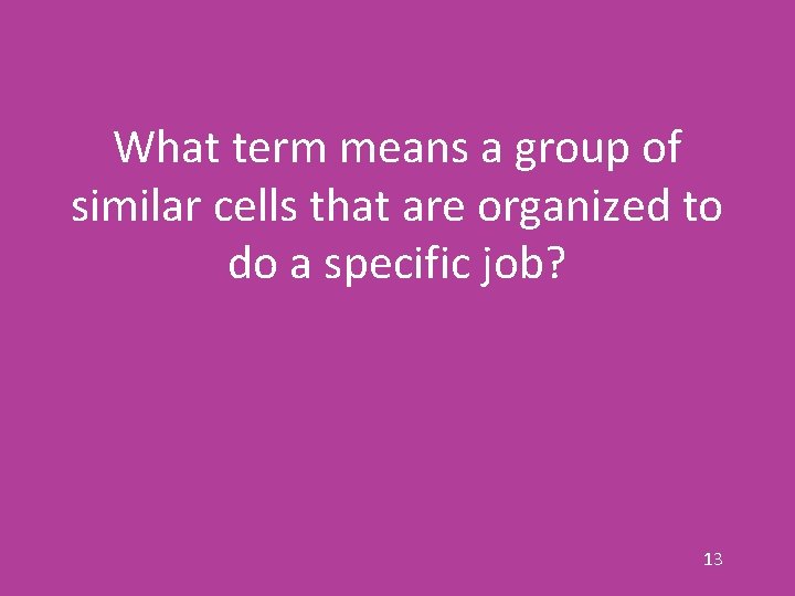 What term means a group of similar cells that are organized to do a