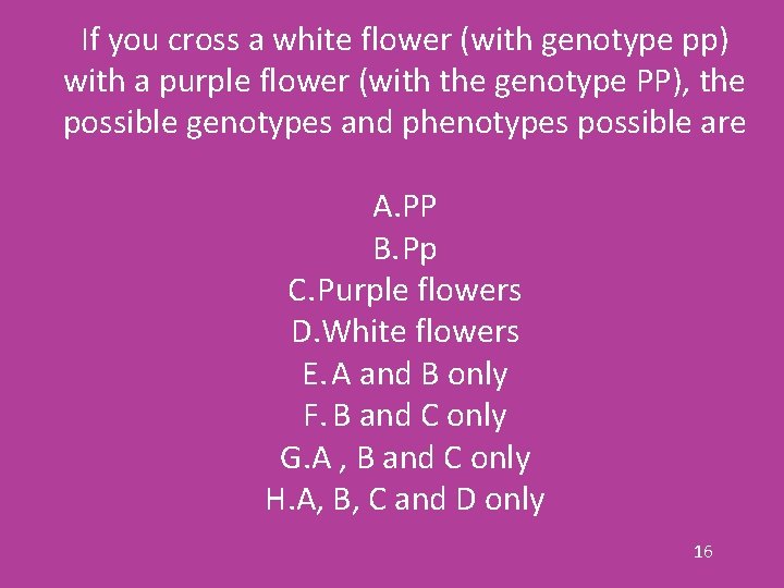 If you cross a white flower (with genotype pp) with a purple flower (with