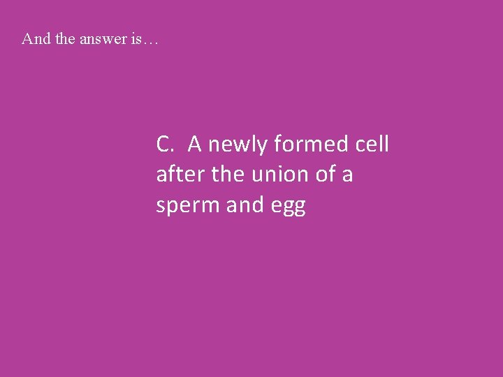 And the answer is… C. A newly formed cell after the union of a