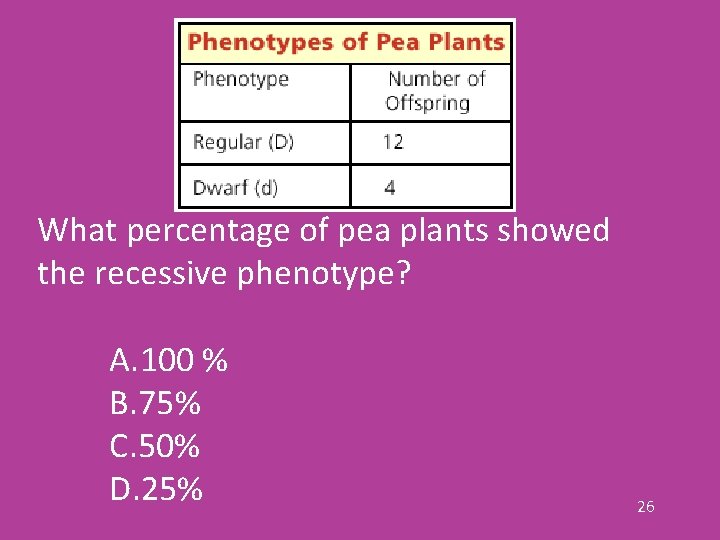 What percentage of pea plants showed the recessive phenotype? A. 100 % B. 75%