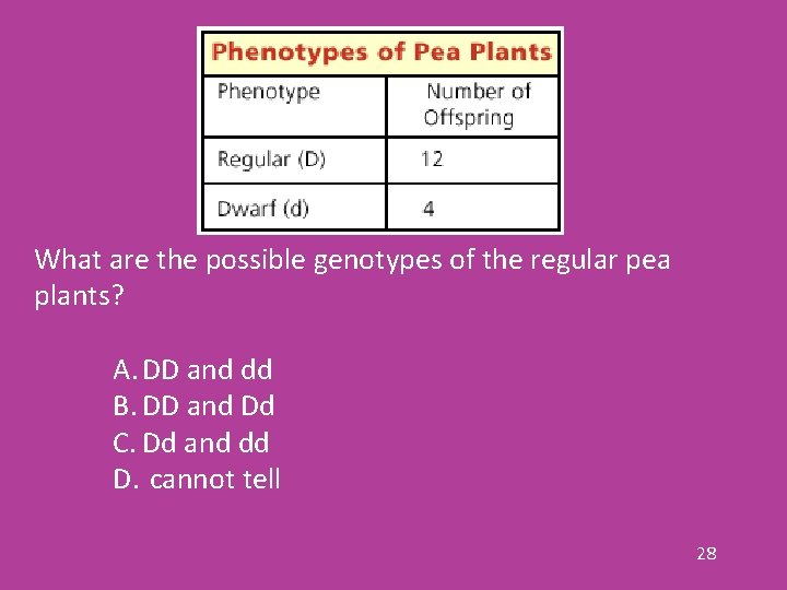 What are the possible genotypes of the regular pea plants? A. DD and dd