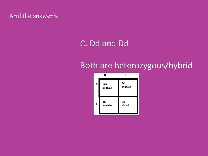 And the answer is… C. Dd and Dd Both are heterozygous/hybrid 