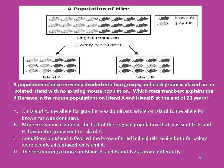 A population of mice is evenly divided into two groups, and each group is