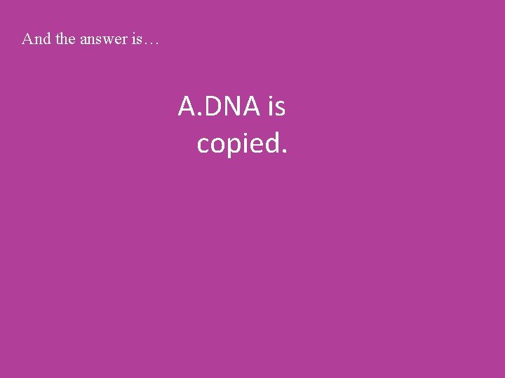 And the answer is… A. DNA is copied. 