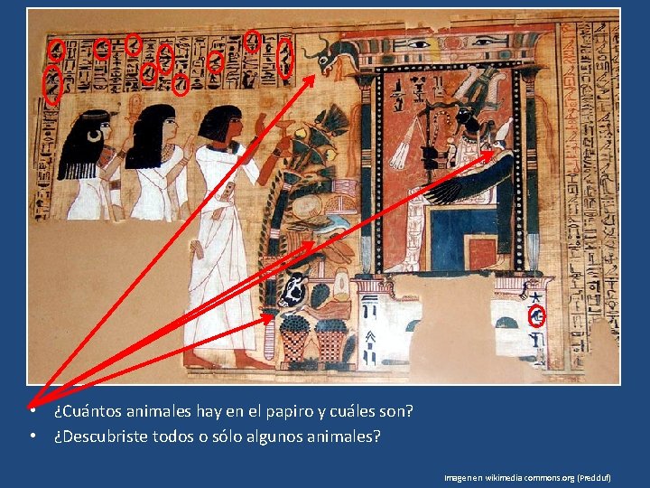  • ¿Cuántos animales hay en el papiro y cuáles son? • ¿Descubriste todos