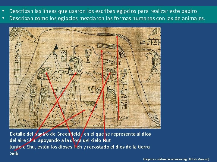  • Describan las líneas que usaron los escribas egipcios para realizar este papiro.