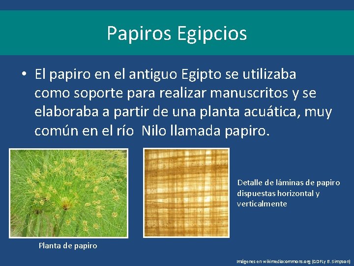 Papiros Egipcios • El papiro en el antiguo Egipto se utilizaba como soporte para