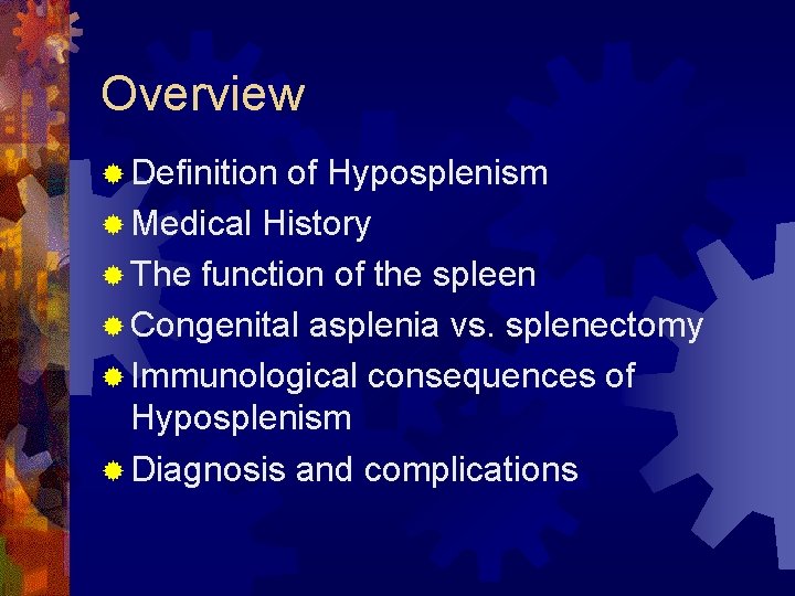 The Spleen Anatomy Of Spleen White Pulp Spleen