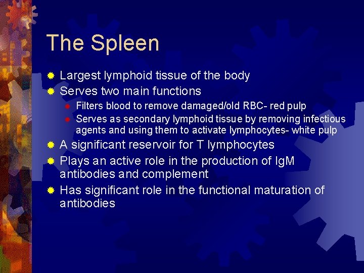 The Spleen Largest lymphoid tissue of the body ® Serves two main functions ®