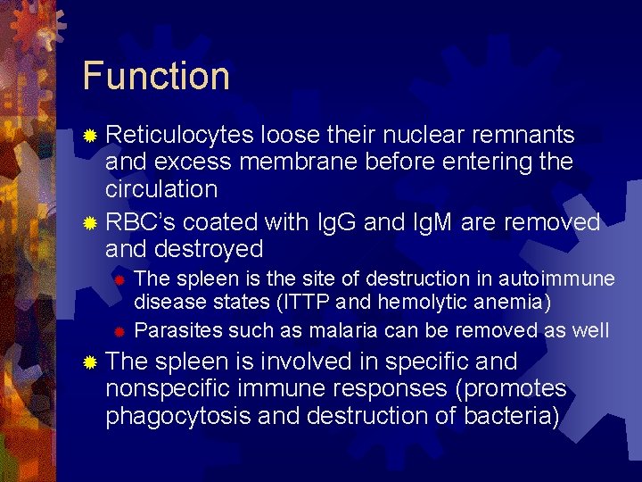Function ® Reticulocytes loose their nuclear remnants and excess membrane before entering the circulation
