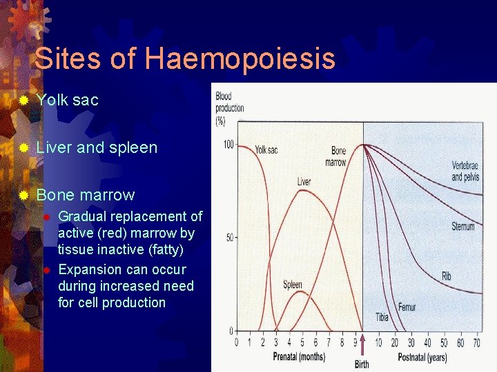 Sites of Haemopoiesis ® Yolk sac ® Liver and spleen ® Bone marrow ®