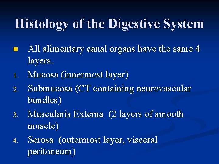 Histology of the Digestive System n 1. 2. 3. 4. All alimentary canal organs