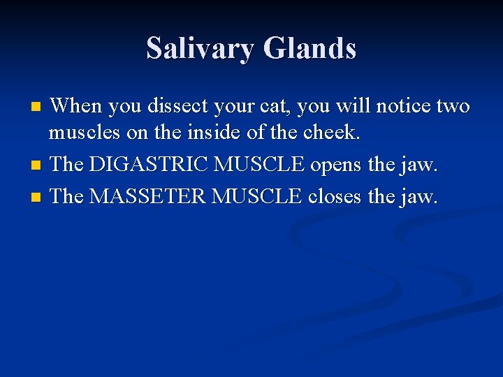 Salivary Glands When you dissect your cat, you will notice two muscles on the