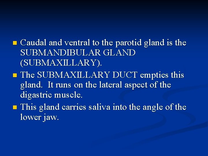 Caudal and ventral to the parotid gland is the SUBMANDIBULAR GLAND (SUBMAXILLARY). n The