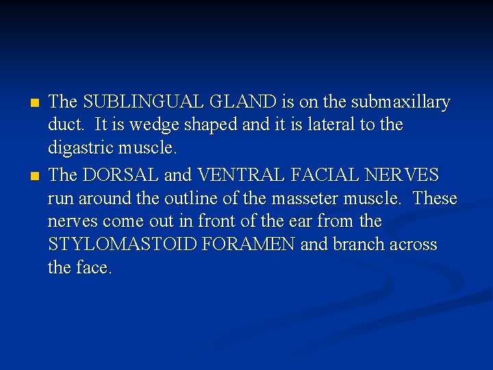 n n The SUBLINGUAL GLAND is on the submaxillary duct. It is wedge shaped