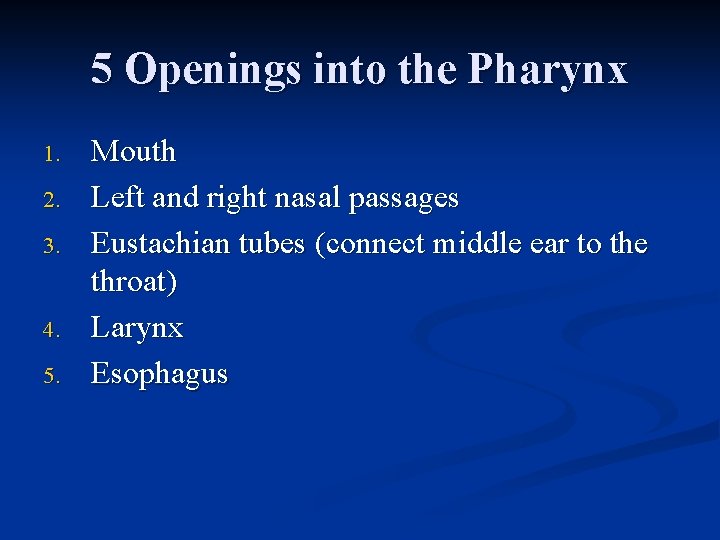 5 Openings into the Pharynx 1. 2. 3. 4. 5. Mouth Left and right