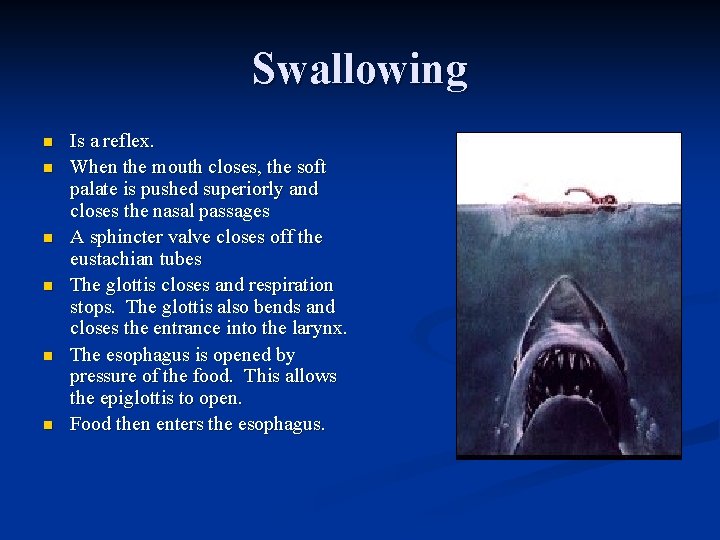 Swallowing n n n Is a reflex. When the mouth closes, the soft palate